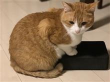 4歳になりました！