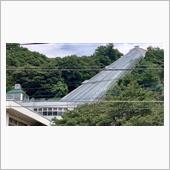 日本一の斜行エレベーター「コ ...