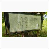 5日目