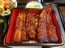 鰻重 今年も うな鈴 へ 特上鰻重 を食べに行く  