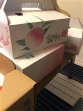 あらかわの桃