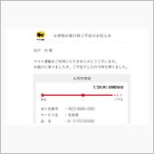 こんなのが送られてきた