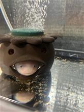 あ〜、落ち着く😮