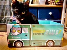 黒猫感謝の日ฅ^.  ̫ .^ฅ