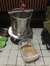 採蜜完了&amp;給餌チャレンジ🐝