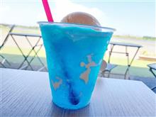 夏の風物詩ね…