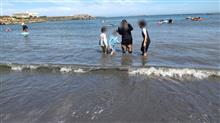 夏と海と私