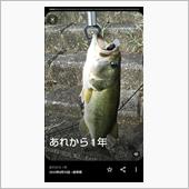 あれから1年・・・