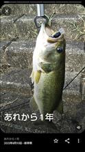 あれから1年・・・