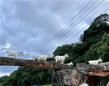 プラネタリウムでグ〜…スカ…ぴ〜(-_-)zzz