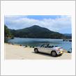 コバルト色の海沿いドライブ
