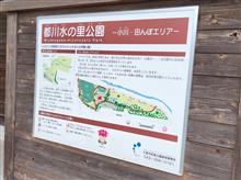 近場の公園