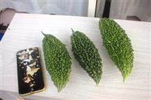 夏野菜・・・。 