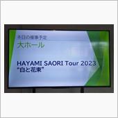 HAYAMI SAORI T ...