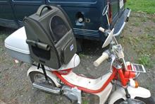 〔ﾏﾘｯｸ〕通院(ねこ40回目)バイクの日にバイクねこで通院