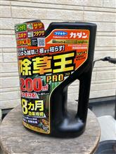 夏休みも今日で終了。