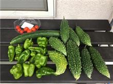 夏野菜。