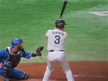 野球観戦。