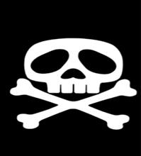 ☠️ アルカディア号☠️マーク