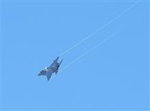 飛行機と野鳥・・・暑い中の待ち伏せ (&#180;･_･`)