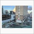 東京観光・２日目