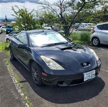 今日もぎっくり腰、でも無理矢理回復傾向