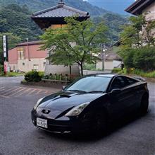 3日目に突入です
