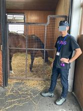 北海道へ出資馬確認の旅へ！
