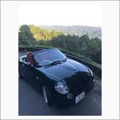 楽しい車