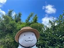 お腹の調子が悪い日