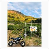 2022年11月7日　福岡か ...