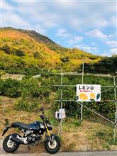 2022年11月7日 福岡から大阪まで引越し旅♪ 6日目③🏍️💨♪ 2022年11月7日 福岡から大阪まで引越し旅♪ 6日目③🏍️💨♪