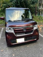 日常使いに丁度良い車です