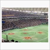 野球観戦・・・