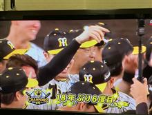 ㊗️阪神タイガース🐯優勝🏆