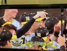 ㊗️阪神タイガース🐯優勝🏆 