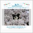 祝・みんカラ歴7年！