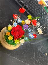 フェニックスフラワー　