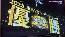 やりました