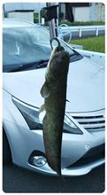 人間ドック → 3週間振りの釣り。