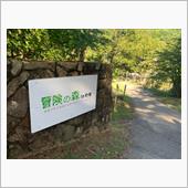 能勢町 冒険の森