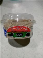 ニホントカゲの餌　ミルワーム 