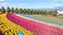 富良野