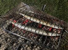 2023年　秋の味覚_秋刀魚_\136/尾