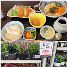 うどん食べたら花屋は地鎮祭。