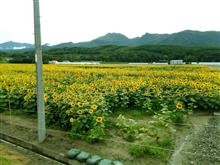 フェリーで北海道、車中泊旅④富良野_1編 フェリーで北海道、車中泊旅④富良野_1編