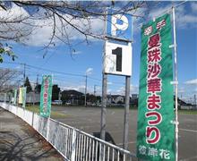 幸手市の権現堂へ彼岸花を見に行く