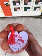 ふみちゃん家のたまご