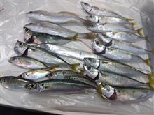 10月4日(水曜日)昨日は魚釣りに行ってきました 10月4日(水曜日)昨日は魚釣りに行ってきました