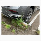草にセンサー反応